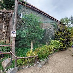 African hawk-eagle aviary