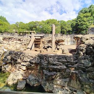Japanese macaque exhibit