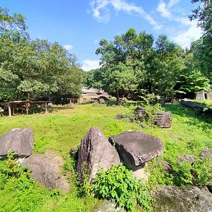 Red kangaroo and emu exhibit