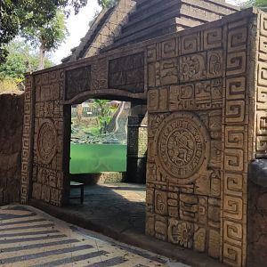 Giant Otter underwater viewing area
