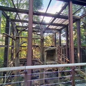 Francois's langue exhibit