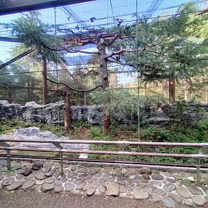 Stellar sea eagle exhibit