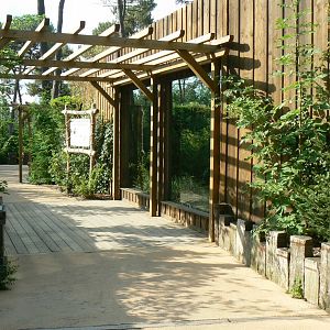 Zoo de la Flèche - Female polar bear enclosure viewing windows
