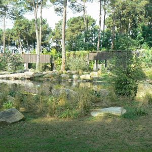 Zoo de la Flèche - Female polar bear enclosure