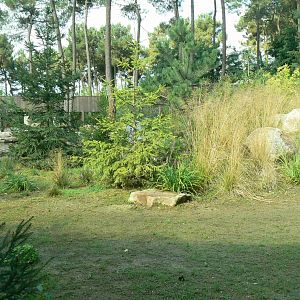 Zoo de la Flèche - Female polar bear enclosure