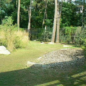 Zoo de la Flèche - Female polar bear enclosure