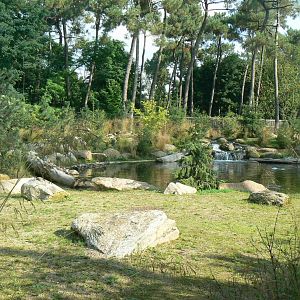 Zoo de la Flèche - Female polar bear enclosure