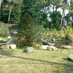Zoo de la Flèche - Female polar bear enclosure