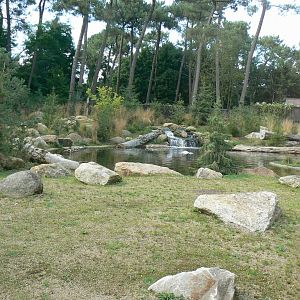 Zoo de la Flèche - Female polar bear enclosure