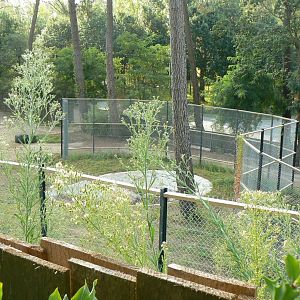 Zoo de la Flèche - Future off-show maternity den - First outdoor enclosure