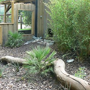 Zoo de la Flèche - Six-banded armadillos outdoor enclosure