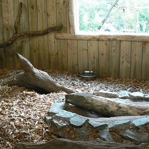 Zoo de la Flèche - Six-banded armadillos house