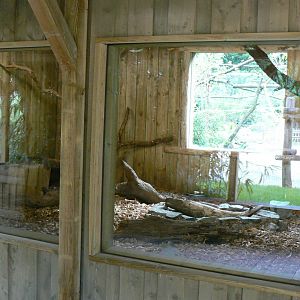 Zoo de la Flèche - Six-banded armadillos house viewing windows