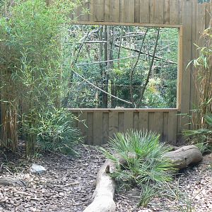 Zoo de la Flèche - Six-banded armadillos outdoor enclosure