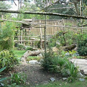 Zoo de la Flèche - New south-american aviary