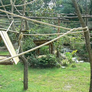 Zoo de la Flèche - New south-american aviary