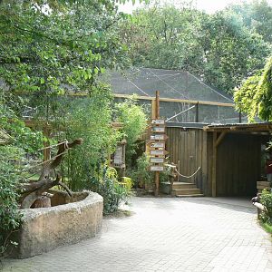 Zoo de la Flèche - New south-american aviary