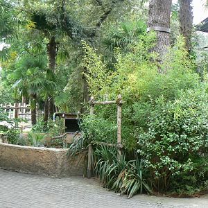 Zoo de la Flèche - Small tortoises enclosure