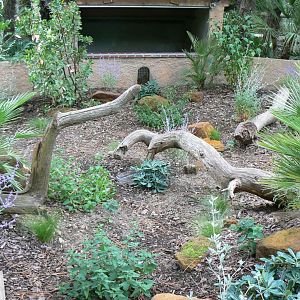 Zoo de la Flèche - Small tortoises enclosure