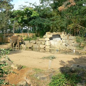 Zoo de la Flèche - African elephant exhibit