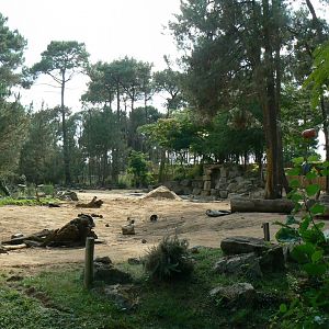 Zoo de la Flèche - African elephant exhibit