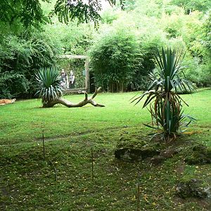 Zoo de la Flèche - Part of the maned wolves exhibit