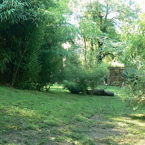 Zoo de la Flèche - Maned wolves exhibit