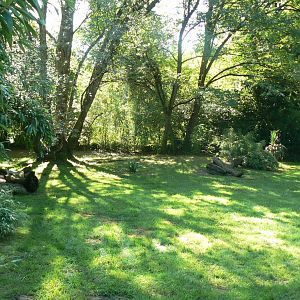 Zoo de la Flèche - Maned wolves exhibit