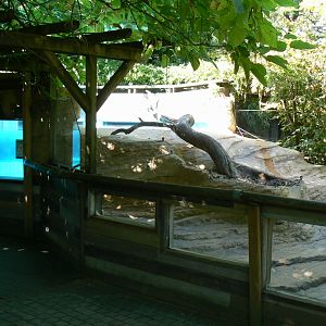 Zoo de la Flèche - Very poor canadian otter exhibit