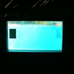 Zoo de la Flèche - Very poor canadian otter exhibit