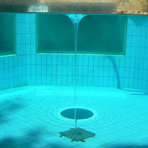 Zoo de la Flèche - Very poor canadian otter exhibit