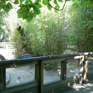 Zoo de la Flèche - Very poor canadian otter exhibit