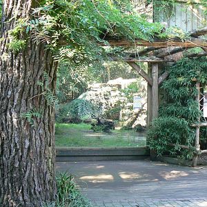 Zoo de la Flèche - Black leopard exhibit