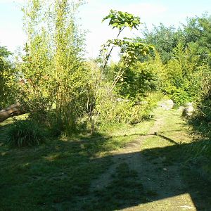Zoo de la Flèche - Sumatran tigers exhibit