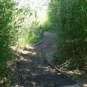 Zoo de la Flèche - Edge of the sumatran tigers exhibit