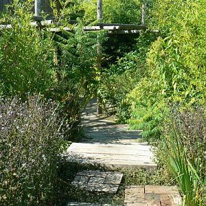 Zoo de la Flèche - Edge of the sumatran tigers exhibit