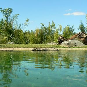 Zoo de la Flèche - Sumatran tigers exhibit