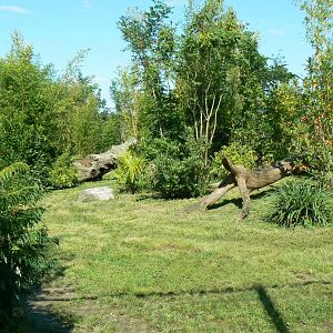 Zoo de la Flèche - Sumatran tigers exhibit