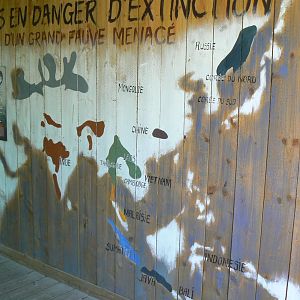 Zoo de la Flèche - Tigers information wall