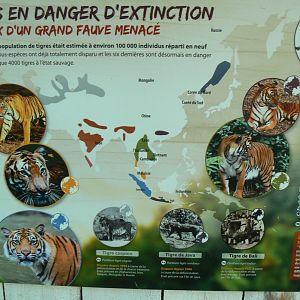 Zoo de la Flèche - Tigers information panel