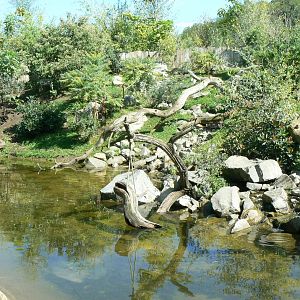 Zoo de la Flèche - Smooth-coated otters exhibit