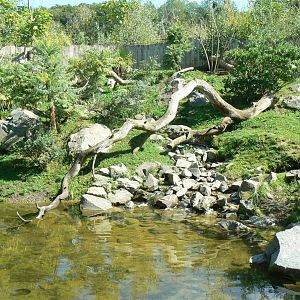 Zoo de la Flèche - Smooth-coated otters exhibit