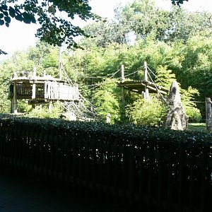 Zoo de la Flèche - Chimpanzees exhibit