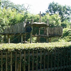 Zoo de la Flèche - Chimpanzees exhibit