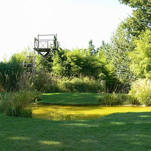 Zoo de la Flèche - Bird show scene