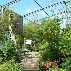 Zoo de la Flèche - Walkthrough asian aviary