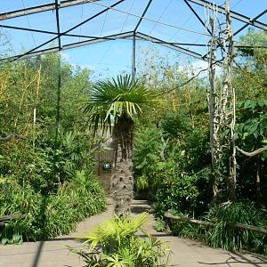 Zoo de la Flèche - Walkthrough asian aviary