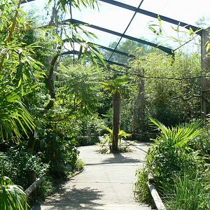 Zoo de la Flèche - Walkthrough asian aviary