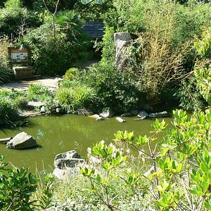 Zoo de la Flèche - Nosy Komba - Lemurs walkthrough exhibit