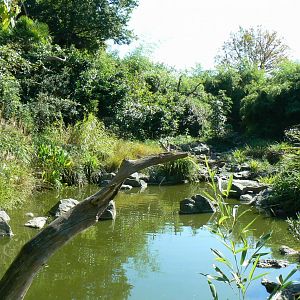 Zoo de la Flèche - Nosy Komba - Lemurs walkthrough exhibit